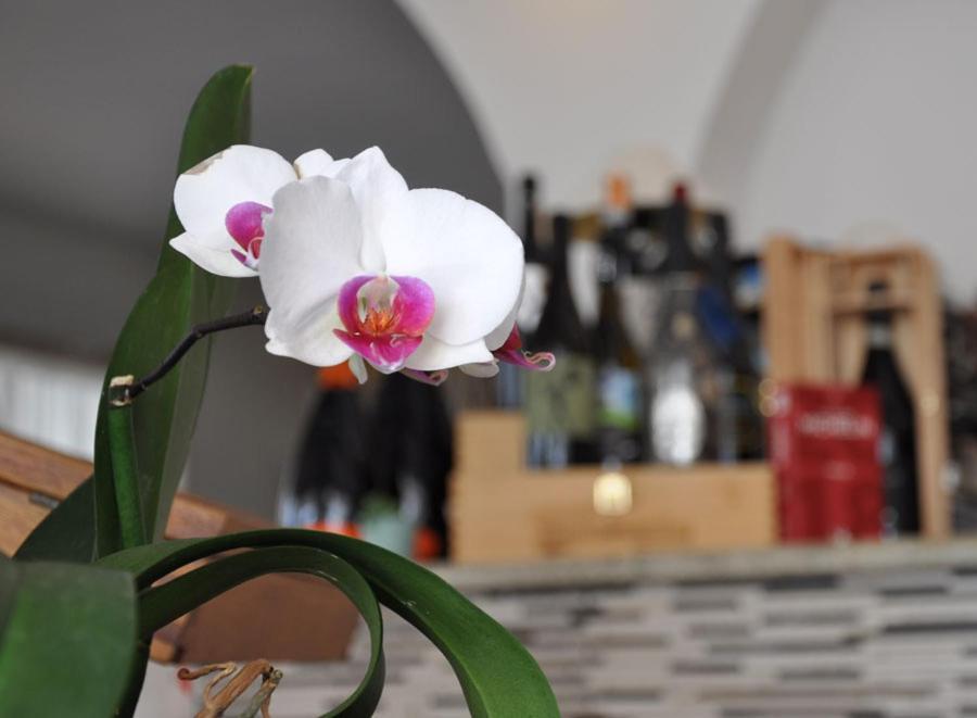 Hotel Torre Celle Ligure Eksteriør billede